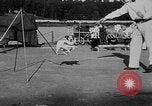 Immagine di Dog show prove Atlanta Georgia USA, 1930, secondo 52 filmato di repertorio 65675069014
