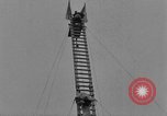 Immagine di Dog show prove Atlanta Georgia USA, 1930, secondo 57 filmato di repertorio 65675069014