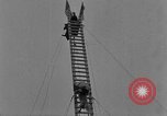 Immagine di Dog show prove Atlanta Georgia USA, 1930, secondo 58 filmato di repertorio 65675069014