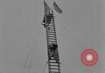 Immagine di Dog show prove Atlanta Georgia USA, 1930, secondo 60 filmato di repertorio 65675069014