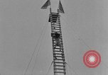 Immagine di Dog show prove Atlanta Georgia USA, 1930, secondo 62 filmato di repertorio 65675069014