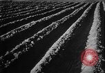 Image of Marshall Plan United Kingdom, 1951, second 16 stock footage video 65675069023