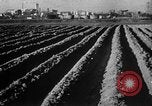 Image of Marshall Plan United Kingdom, 1951, second 17 stock footage video 65675069023