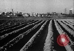 Image of Marshall Plan United Kingdom, 1951, second 18 stock footage video 65675069023