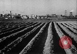 Image of Marshall Plan United Kingdom, 1951, second 19 stock footage video 65675069023