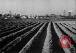 Image of Marshall Plan United Kingdom, 1951, second 20 stock footage video 65675069023