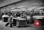 Image of Marshall Plan United Kingdom, 1951, second 54 stock footage video 65675069023