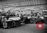 Image of Marshall Plan United Kingdom, 1951, second 57 stock footage video 65675069023