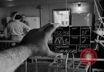 Immagine di Irradiazione degli alimenti Lemont Illinois USA, 1956, secondo 35 filmato di repertorio 65675069053