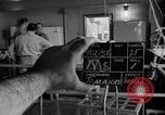 Immagine di Irradiazione degli alimenti Lemont Illinois USA, 1956, secondo 36 filmato di repertorio 65675069053