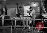 Immagine di Irradiazione degli alimenti Lemont Illinois USA, 1956, secondo 44 filmato di repertorio 65675069053