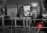 Immagine di Irradiazione degli alimenti Lemont Illinois USA, 1956, secondo 45 filmato di repertorio 65675069053