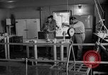 Immagine di Irradiazione degli alimenti Lemont Illinois USA, 1956, secondo 46 filmato di repertorio 65675069053