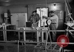 Immagine di Irradiazione degli alimenti Lemont Illinois USA, 1956, secondo 47 filmato di repertorio 65675069053