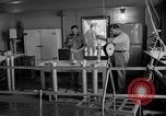 Immagine di Irradiazione degli alimenti Lemont Illinois USA, 1956, secondo 51 filmato di repertorio 65675069053