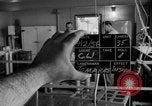Immagine di Irradiazione degli alimenti Lemont Illinois USA, 1956, secondo 54 filmato di repertorio 65675069053