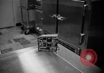 Immagine di Alimenti irradiati Lemont Illinois USA, 1956, secondo 5 filmato di repertorio 65675069054