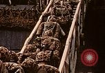 Image of US 2nd Marine Division on troop transports Tarawa Gilbert Islands, 1943, second 34 stock footage video 65675069058