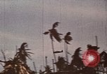 Standbild Vereinigten Staaten Marines amphibischen Angriff auf Betio Tarawa Gilbert Inseln, 1943, aus Sekunde 49 historischem Filmmaterial Videoclip 65675069059