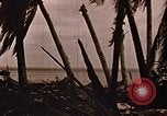Image US Marine assaut amphibie sur Tarawa Tarawa Îles Gilbert, 1943, de la seconde 28 séquences d'archives historiques vidéo 65675069060