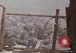 Image des Marines des États-Unis opérations de nettoyage Tarawa Îles Gilbert, 1943, de la seconde 42 séquences d'archives historiques vidéo 65675069062