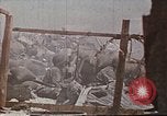 Image des Marines des États-Unis opérations de nettoyage Tarawa Îles Gilbert, 1943, de la seconde 43 séquences d'archives historiques vidéo 65675069062