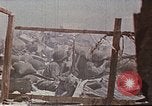 Image des Marines des États-Unis opérations de nettoyage Tarawa Îles Gilbert, 1943, de la seconde 45 séquences d'archives historiques vidéo 65675069062