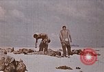 Image des Marines des États-Unis opérations de nettoyage Tarawa Îles Gilbert, 1943, de la seconde 47 séquences d'archives historiques vidéo 65675069062