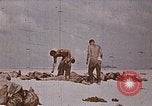 Image des Marines des États-Unis opérations de nettoyage Tarawa Îles Gilbert, 1943, de la seconde 48 séquences d'archives historiques vidéo 65675069062