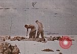 Image des Marines des États-Unis opérations de nettoyage Tarawa Îles Gilbert, 1943, de la seconde 50 séquences d'archives historiques vidéo 65675069062