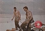 Image des Marines des États-Unis opérations de nettoyage Tarawa Îles Gilbert, 1943, de la seconde 56 séquences d'archives historiques vidéo 65675069062