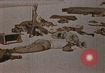 Image tombé États-Unis Marines sur Betio Tarawa Tarawa Îles Gilbert, 1943, de la seconde 8 séquences d'archives historiques vidéo 65675069063