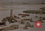 Image tombé États-Unis Marines sur Betio Tarawa Tarawa Îles Gilbert, 1943, de la seconde 11 séquences d'archives historiques vidéo 65675069063
