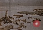 Image tombé États-Unis Marines sur Betio Tarawa Tarawa Îles Gilbert, 1943, de la seconde 12 séquences d'archives historiques vidéo 65675069063