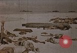 Image tombé États-Unis Marines sur Betio Tarawa Tarawa Îles Gilbert, 1943, de la seconde 13 séquences d'archives historiques vidéo 65675069063