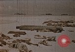 Image tombé États-Unis Marines sur Betio Tarawa Tarawa Îles Gilbert, 1943, de la seconde 14 séquences d'archives historiques vidéo 65675069063