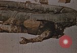 Image tombé États-Unis Marines sur Betio Tarawa Tarawa Îles Gilbert, 1943, de la seconde 15 séquences d'archives historiques vidéo 65675069063