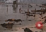 Image tombé États-Unis Marines sur Betio Tarawa Tarawa Îles Gilbert, 1943, de la seconde 16 séquences d'archives historiques vidéo 65675069063