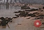 Image tombé États-Unis Marines sur Betio Tarawa Tarawa Îles Gilbert, 1943, de la seconde 17 séquences d'archives historiques vidéo 65675069063