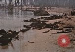 Image tombé États-Unis Marines sur Betio Tarawa Tarawa Îles Gilbert, 1943, de la seconde 18 séquences d'archives historiques vidéo 65675069063