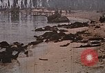 Image tombé États-Unis Marines sur Betio Tarawa Tarawa Îles Gilbert, 1943, de la seconde 19 séquences d'archives historiques vidéo 65675069063