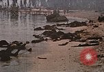 Image tombé États-Unis Marines sur Betio Tarawa Tarawa Îles Gilbert, 1943, de la seconde 20 séquences d'archives historiques vidéo 65675069063