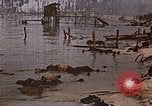 Image tombé États-Unis Marines sur Betio Tarawa Tarawa Îles Gilbert, 1943, de la seconde 23 séquences d'archives historiques vidéo 65675069063