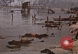 Image tombé États-Unis Marines sur Betio Tarawa Tarawa Îles Gilbert, 1943, de la seconde 24 séquences d'archives historiques vidéo 65675069063