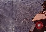 Image tombé États-Unis Marines sur Betio Tarawa Tarawa Îles Gilbert, 1943, de la seconde 39 séquences d'archives historiques vidéo 65675069063