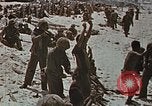 Immagine di Giapponese di prigionieri di guerra Tarawa Isole Gilbert, 1943, secondo 12 filmato di repertorio 65675069064
