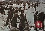 Immagine di Giapponese di prigionieri di guerra Tarawa Isole Gilbert, 1943, secondo 13 filmato di repertorio 65675069064