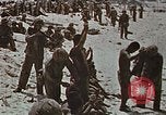 Immagine di Giapponese di prigionieri di guerra Tarawa Isole Gilbert, 1943, secondo 14 filmato di repertorio 65675069064