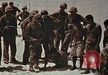 Immagine di Giapponese di prigionieri di guerra Tarawa Isole Gilbert, 1943, secondo 34 filmato di repertorio 65675069064