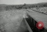 Image Derby du Kentucky Kentucky United States USA, 1965, de la seconde 15 séquences d'archives historiques vidéo 65675069091